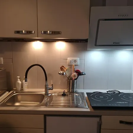 Open Plan Apartma Lesnik Ziba דירה