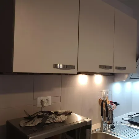 Open Plan Apartma Lesnik Ziba דירה *
