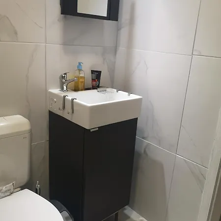 Open Plan Apartma Lesnik Ziba דירה