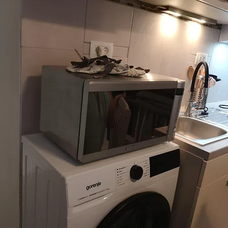 Open Plan Apartma Lesnik Ziba