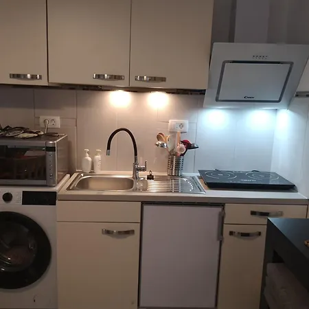 Apartmán Apartma Lesnik Ziba *
