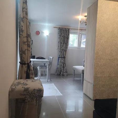 Apartman Open Plan Apartma Lesnik Ziba *