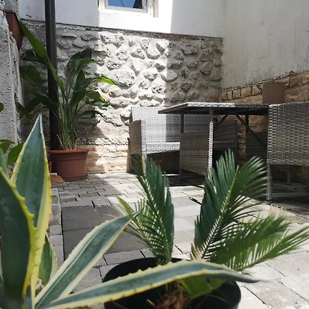 公寓 Apartma Lesnik Ziba *