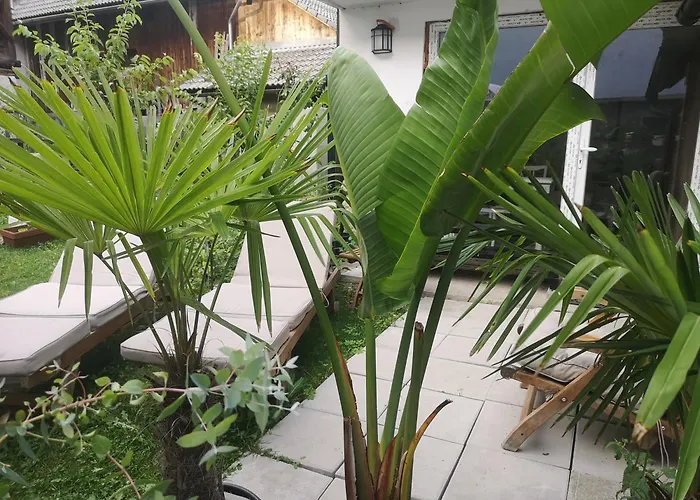 Apartma Apartma Lesnik Ziba *