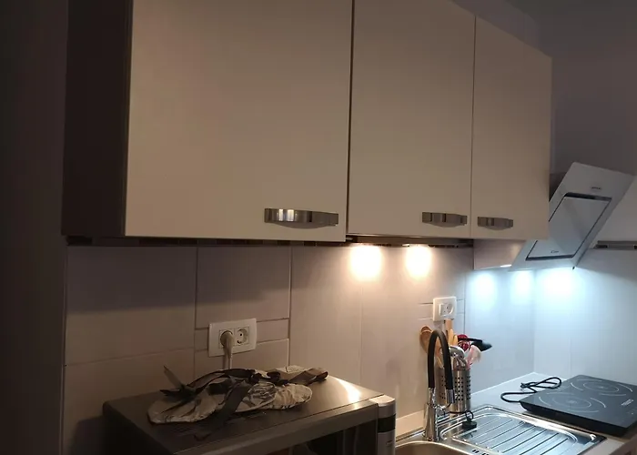 Apartma Lesnik Ziba Daire *